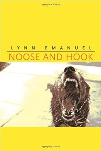 Book cover of Noose and Hook