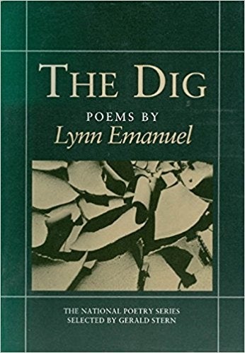 Book Cover of The Dig
