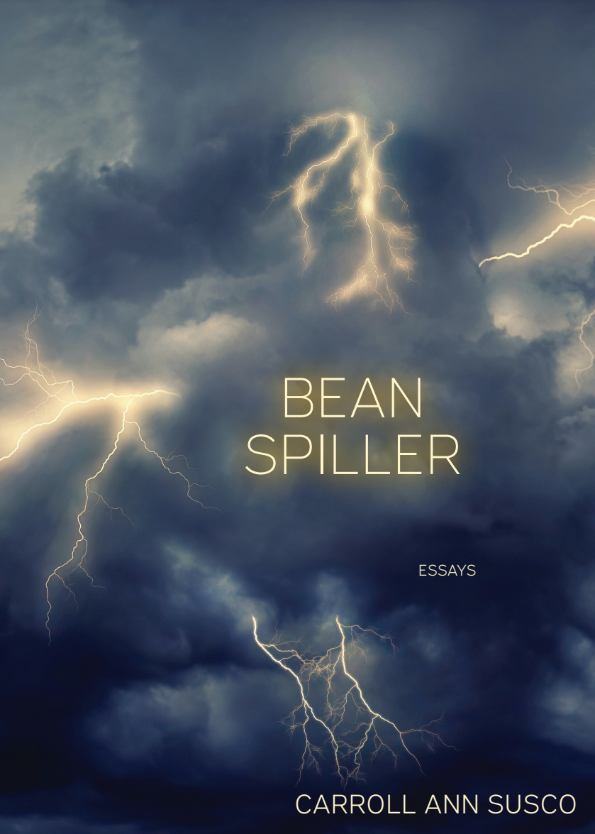 Cover for Bean Spiller is a photograph of a night sky forked by lightning.